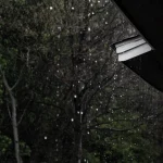 雨のときに気になってしまう音