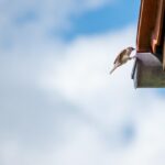 突然に見える屋根の破損
