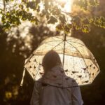 何かのついででは直らない雨漏り