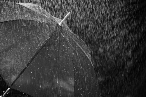 雨が降らなければ気づかないこと