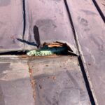 見積もりの“数字”よりも“写真”を信じる理由