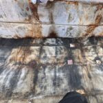 屋根は“乾いて見えるのに腐っている