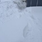 避けて通れない雪についての悩み