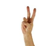 フラット屋根の選択は２つ