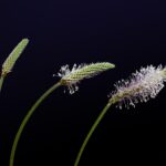 いくらかけたかよりどう直したかが大事