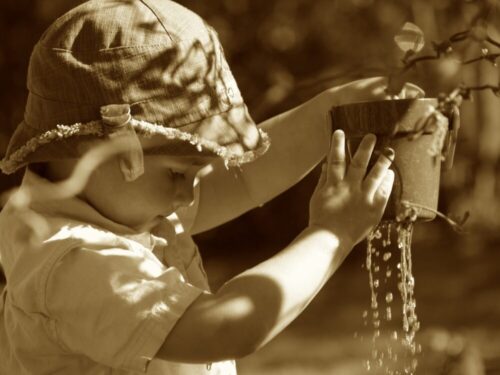 起こるべくして起こった雨漏り