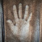 雨では漏れないその正体とは