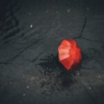 雨漏りが止まらないまま　できることを全部やっていた