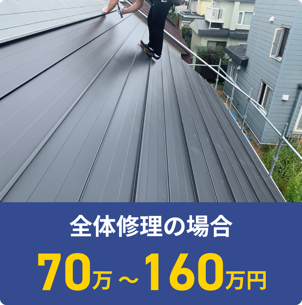 全体修理の場合 50万 ～100万円
